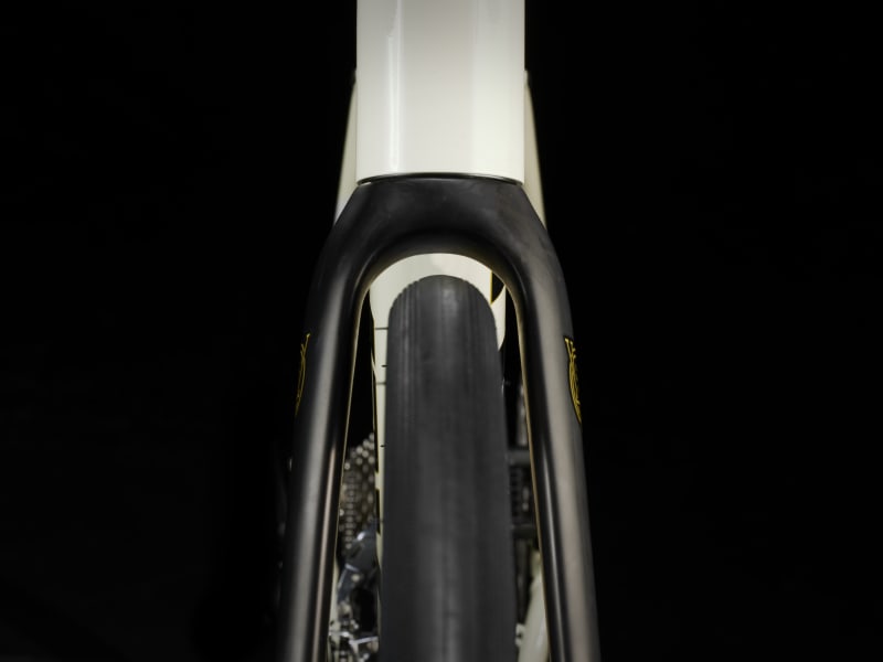 Domane AL 4 Gen 4 補足画像