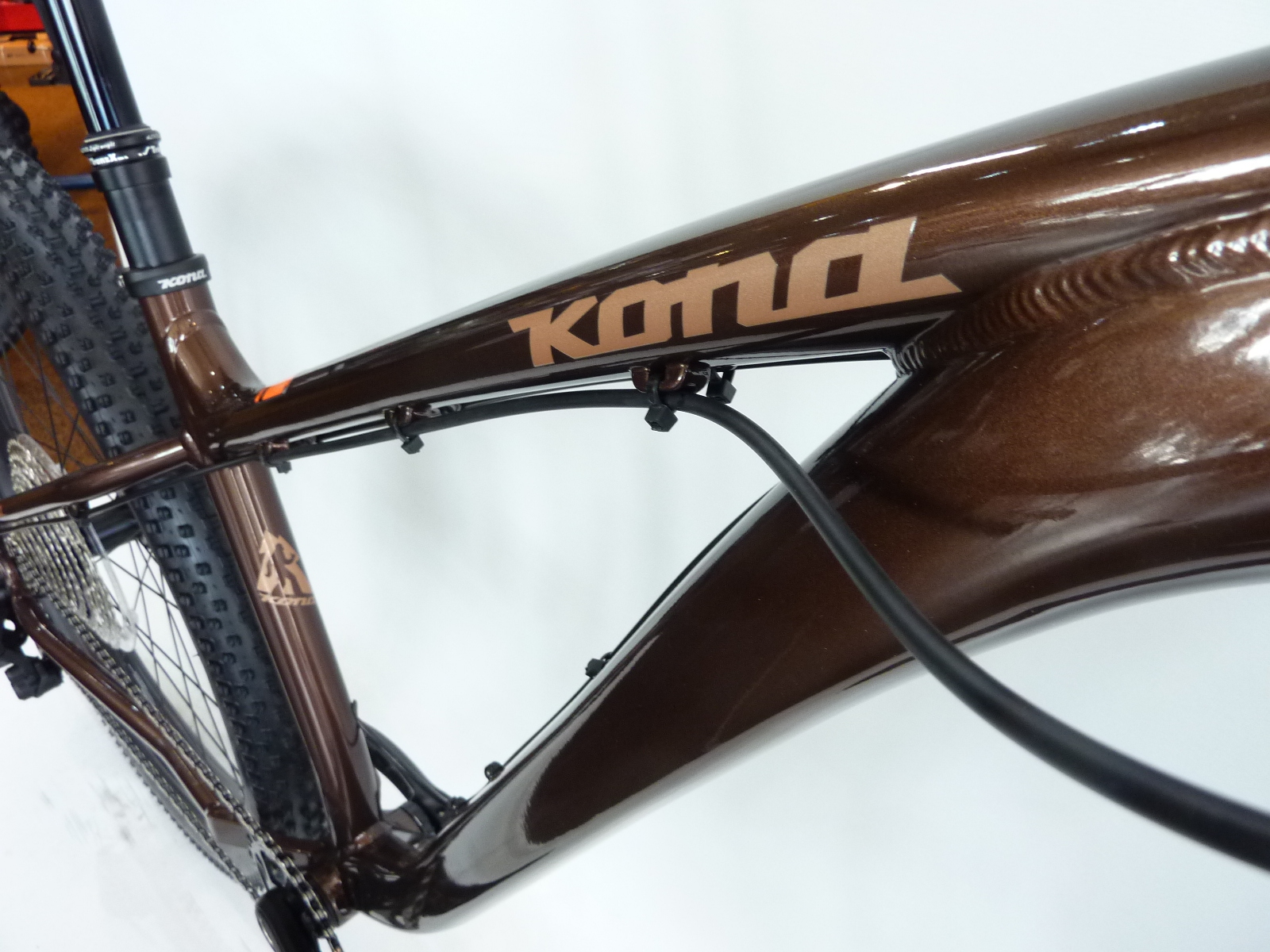 BIG HONZO 補足画像