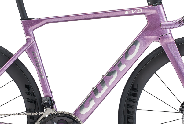 COBRA EVO DB SPORT TE 補足画像