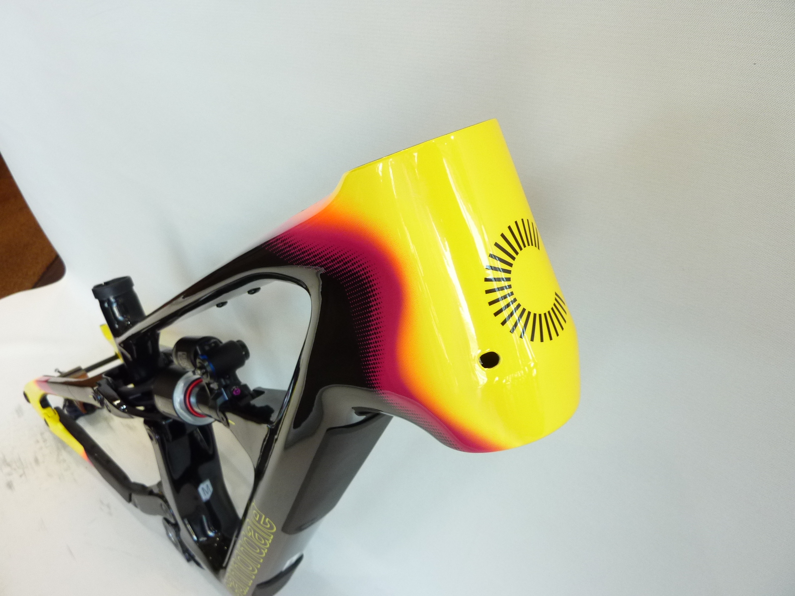 Cannondale Bad Habit Frame 補足画像