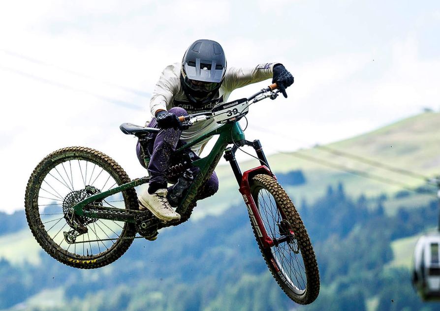 Cannondale Bad Habit Frame 補足画像