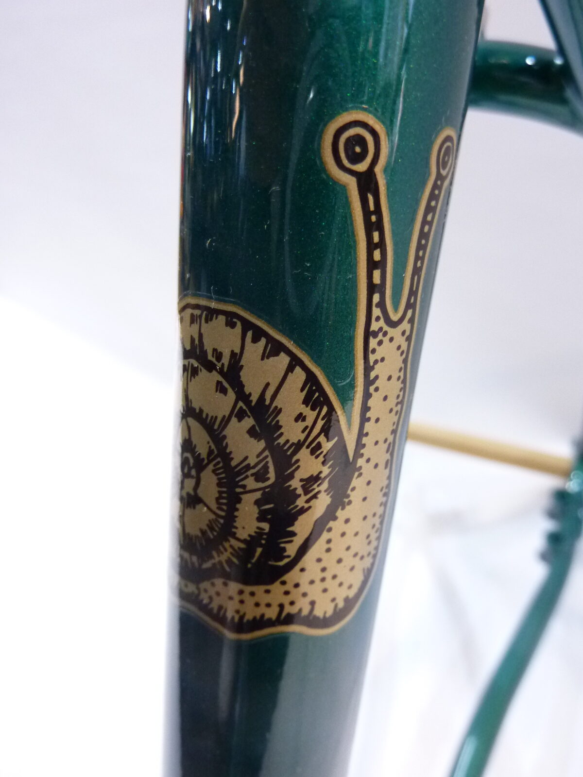 Straggler Frameset – Subtropic Algae 補足画像